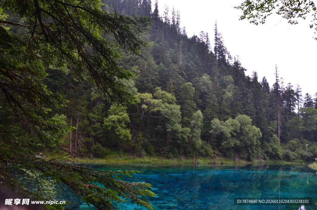 山间蓝湖 林木环绕之景