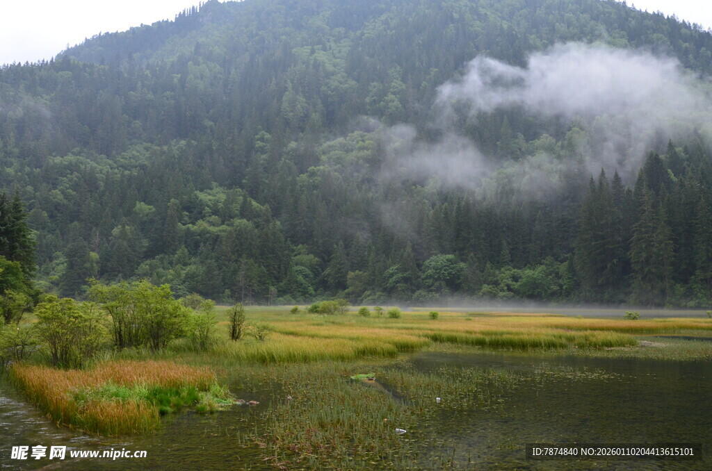 山间云雾缭绕的静谧美景