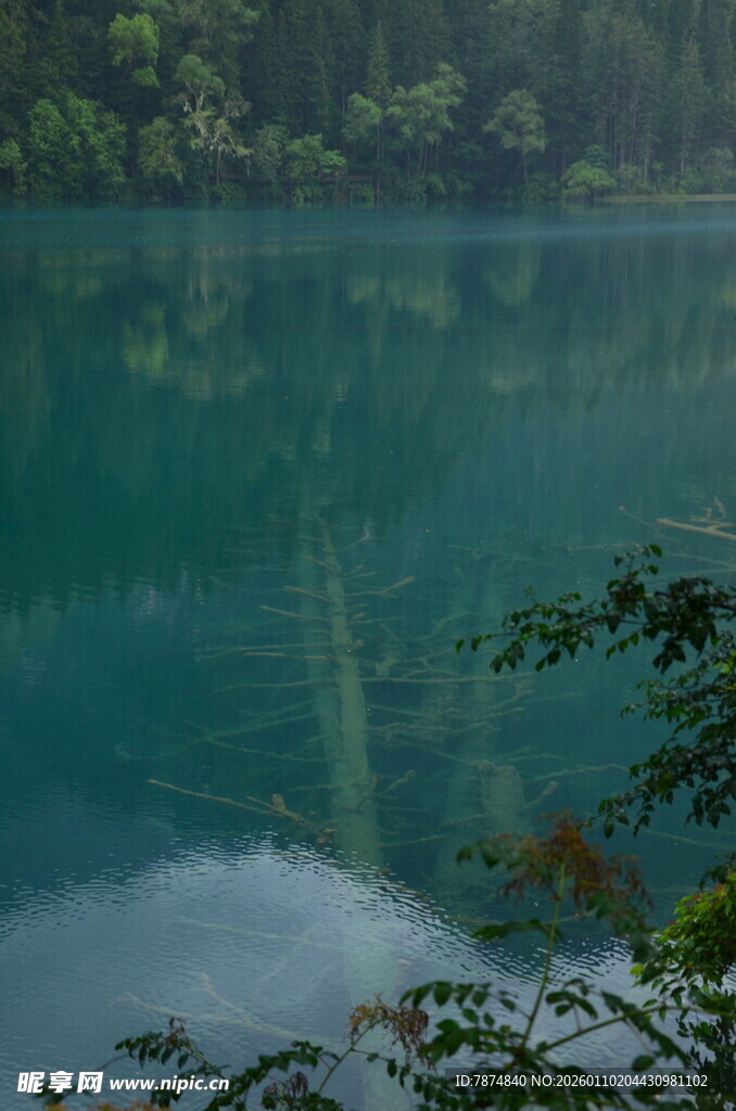 碧绿湖水与周边葱郁树林