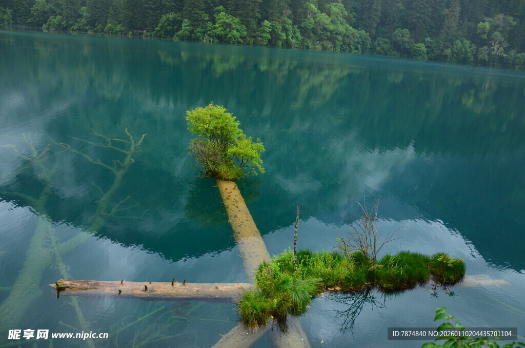 湖中小径 绿意盎然的美景