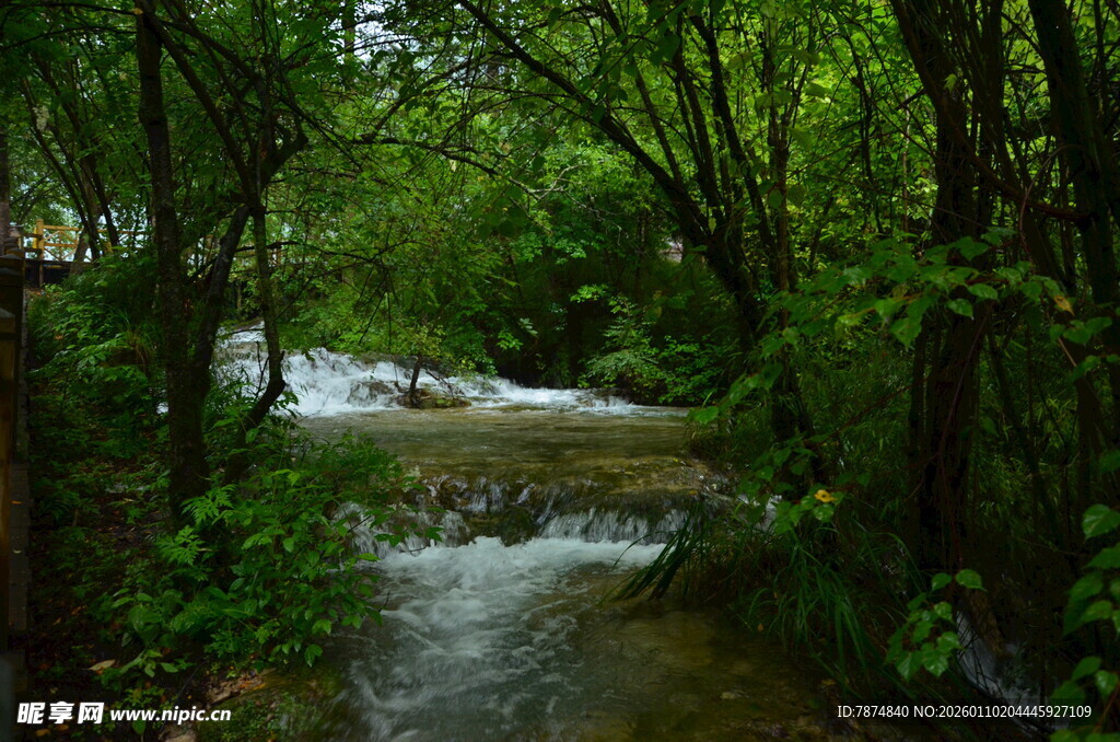 山林间流动的清澈小溪