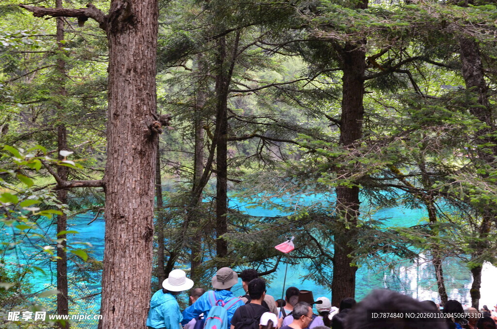 森林中观赏蓝绿色湖水