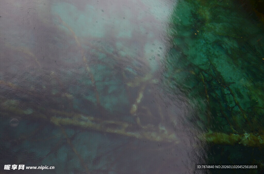 神秘绿色纹理微观景象