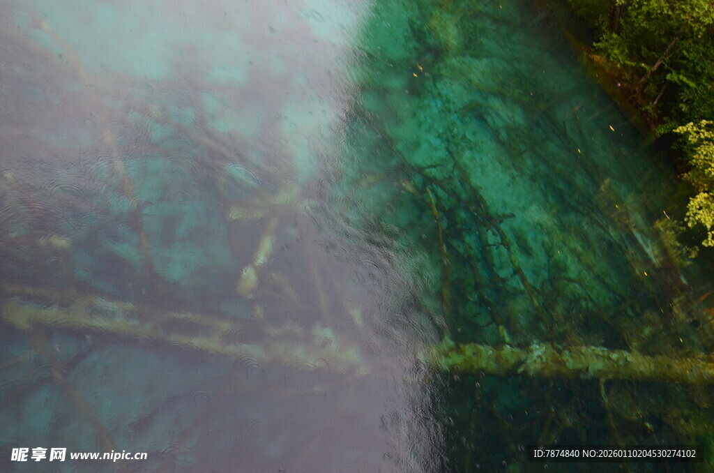 梦幻绿林瀑布景观