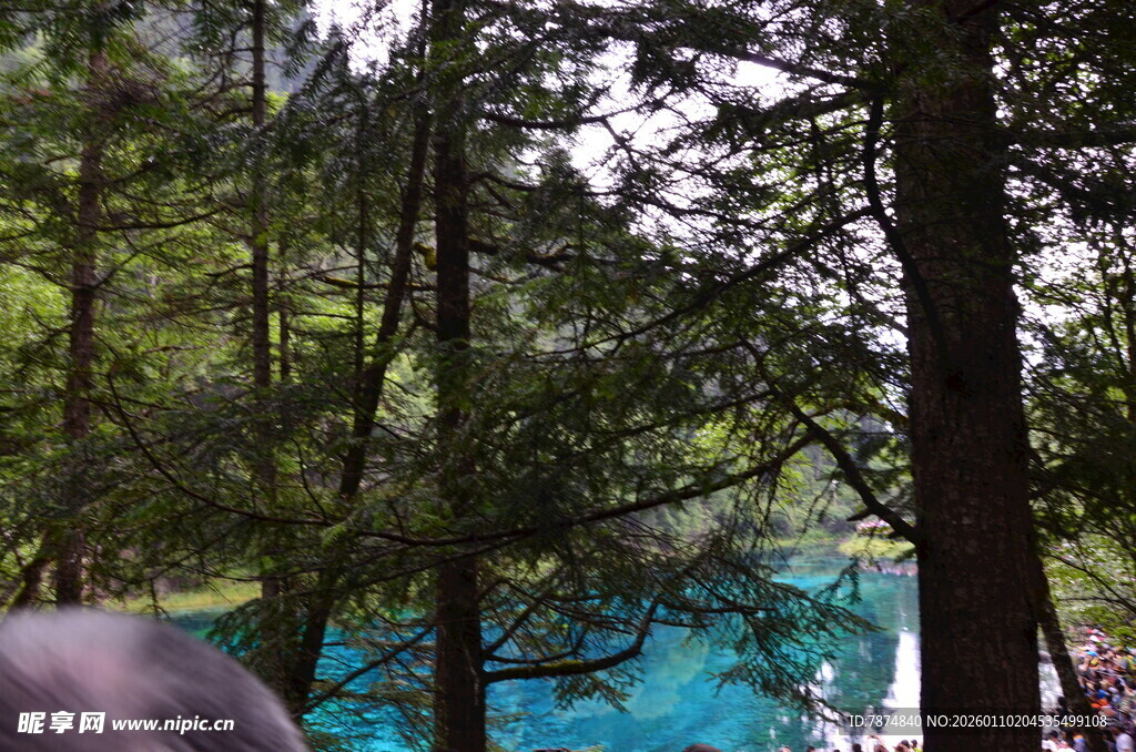 森林中的蓝绿色湖泊景观