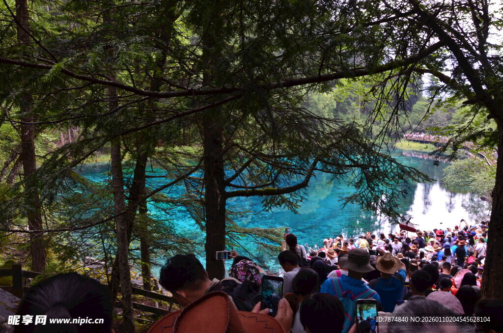 景区热门景点游客聚集