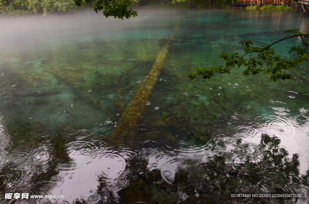 清澈湖底的神秘水下景象