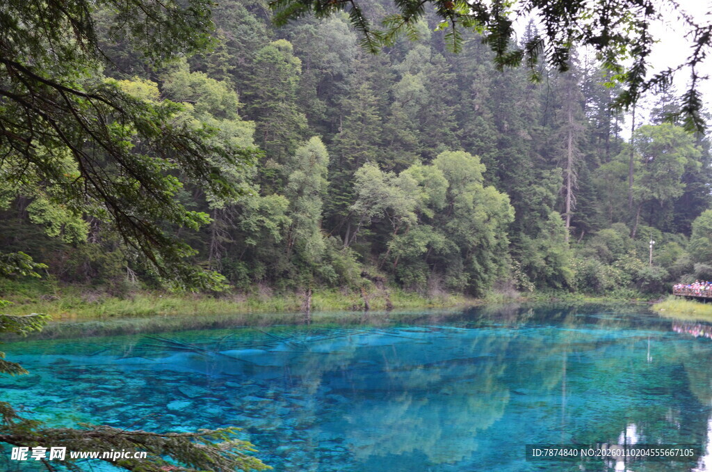 梦幻蓝湖 森林中的静谧之美