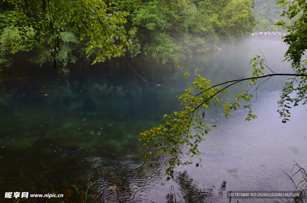 清幽河畔 绿意萦绕的静谧之景