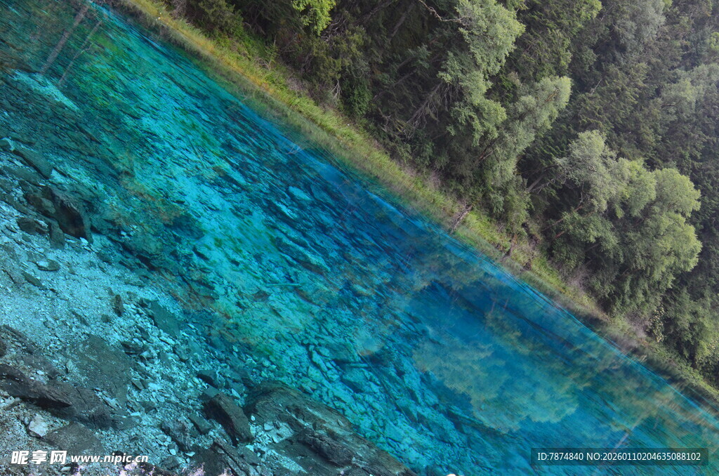 清澈蓝绿水边的葱郁树林