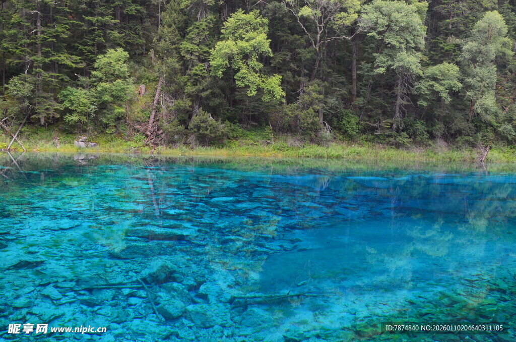 梦幻蓝湖 森林中的绝美之境