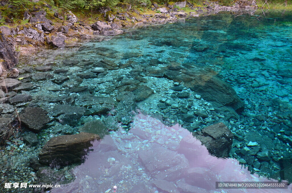 清澈见底的梦幻海底世界