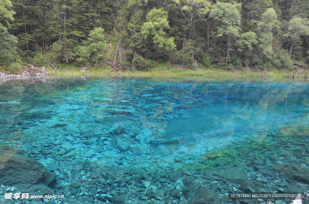 清澈蓝湖 水底景致迷人