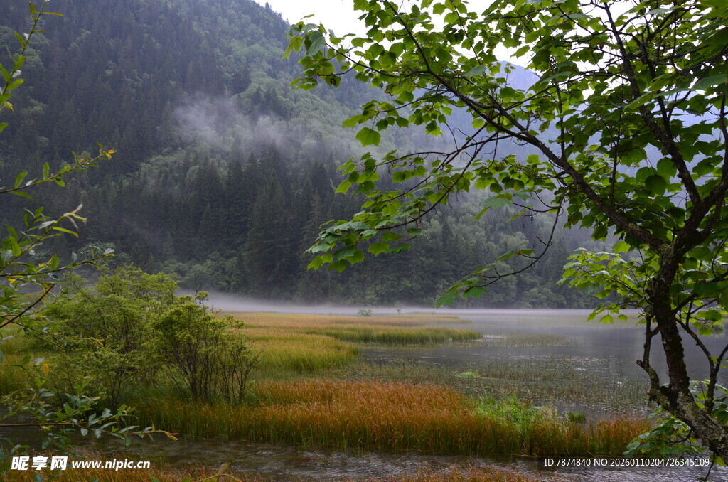 山间晨雾中的清新自然景