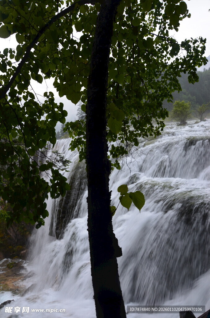 山间瀑布旁的葱郁树木