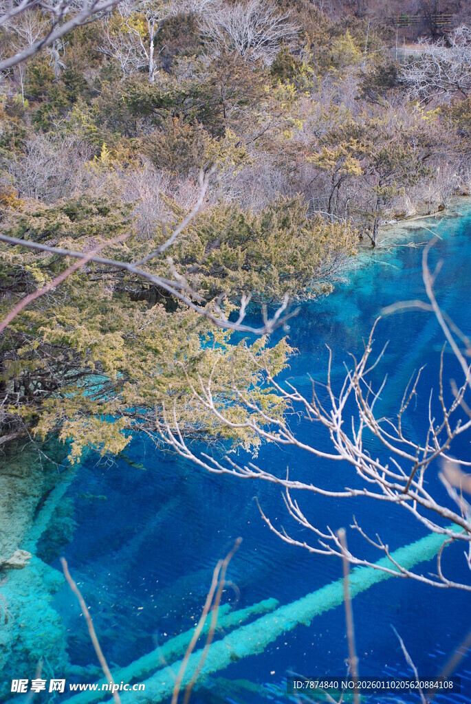蓝湖美景 林间澄澈碧水