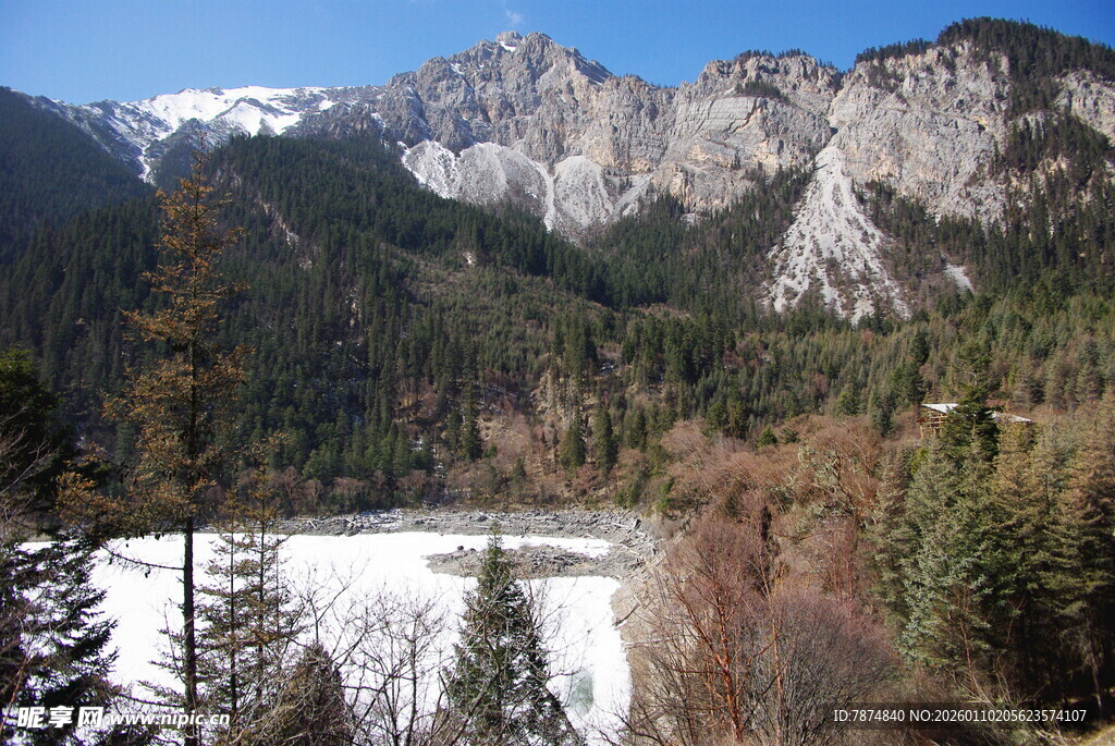 山间雪景与葱郁林木景观