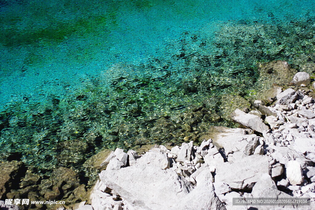 清澈海底与白色珊瑚景观