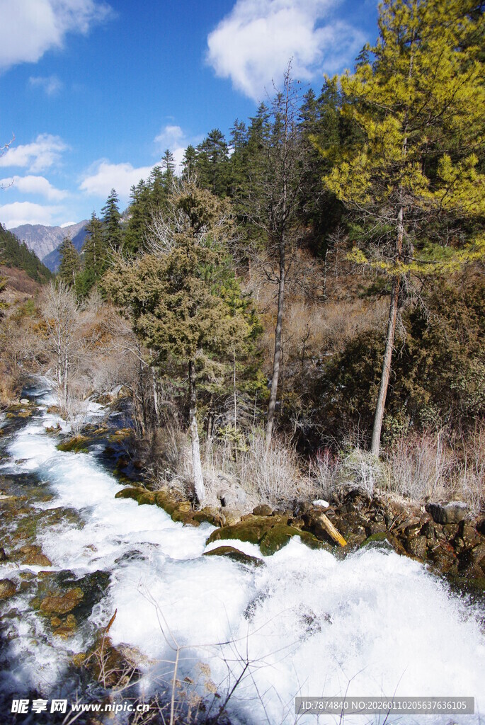 山间融雪溪流与葱郁林木