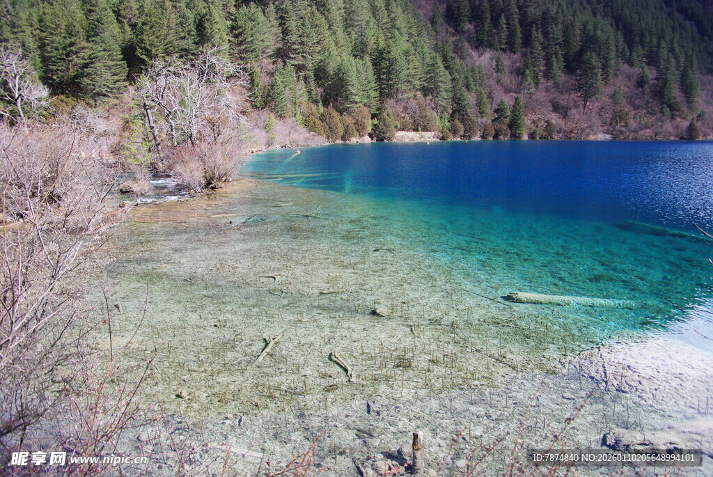 清澈蓝湖与岸边葱郁山林