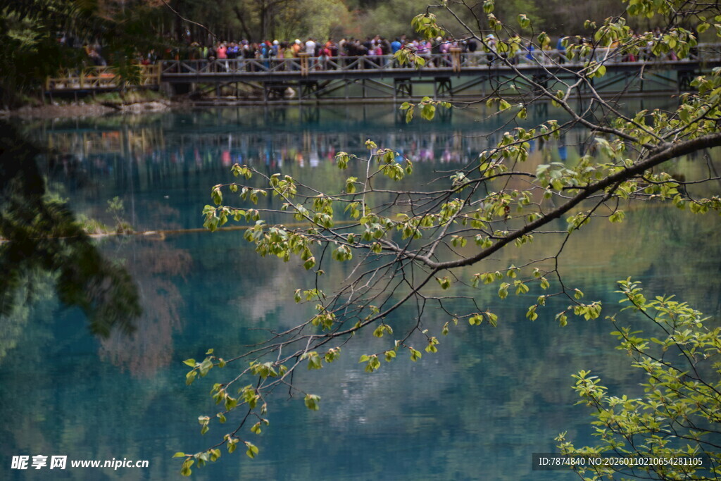 湖畔春色 桥上行人赏景