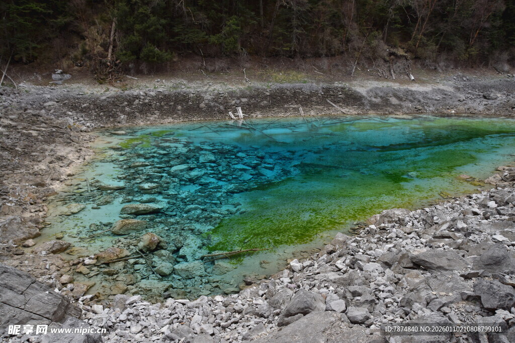 蓝绿色清澈小池景观