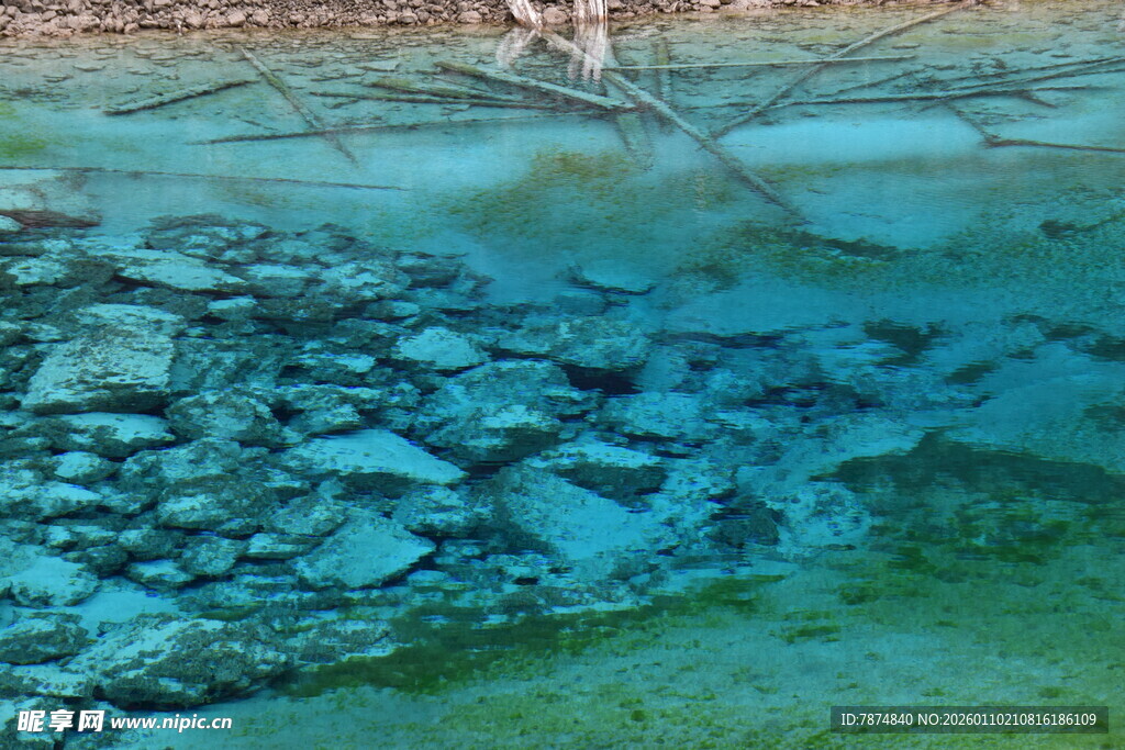 清澈水底的多彩石块景观