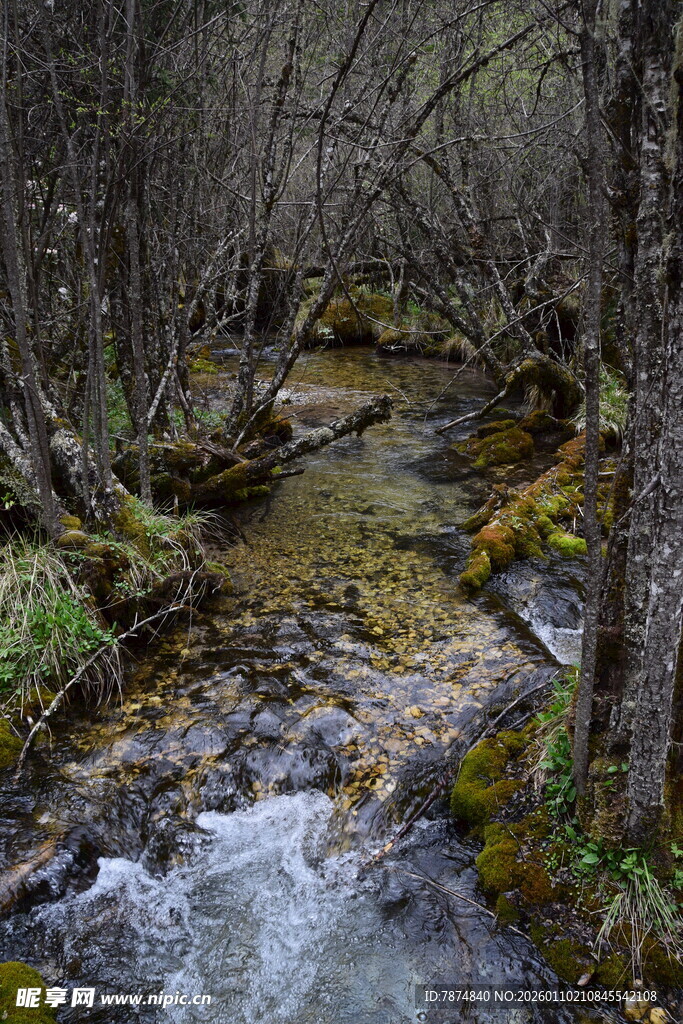 山间溪流 自然野趣之景