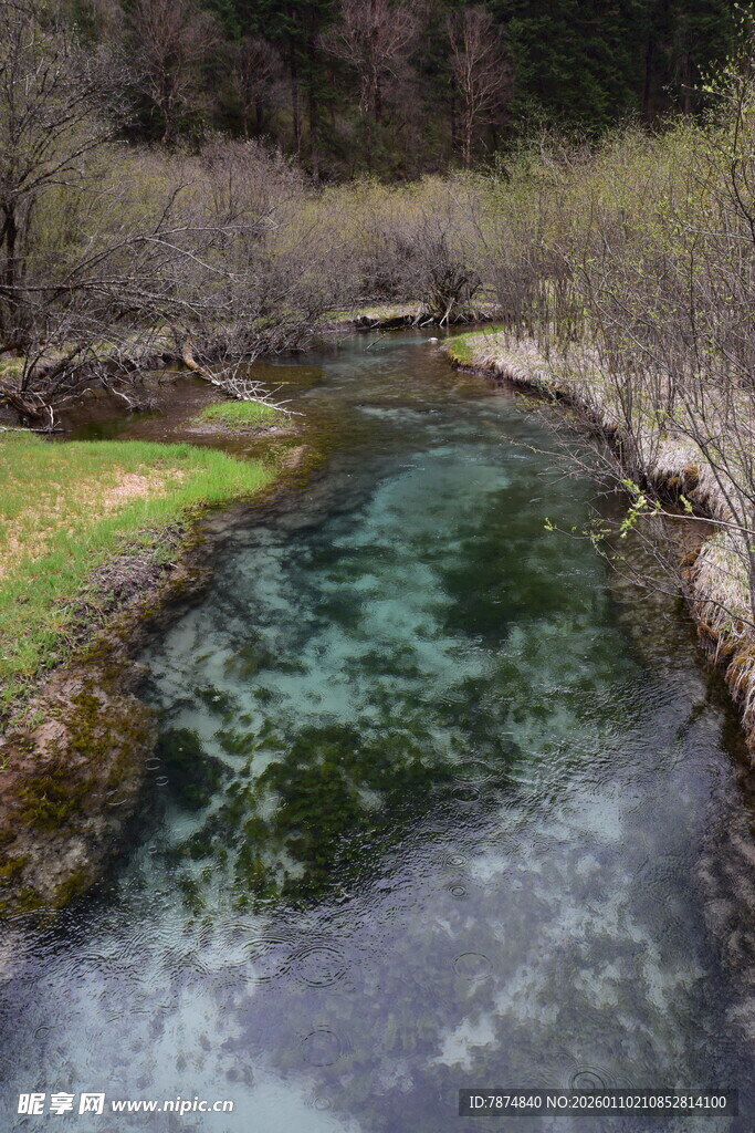 山间清澈溪流美景
