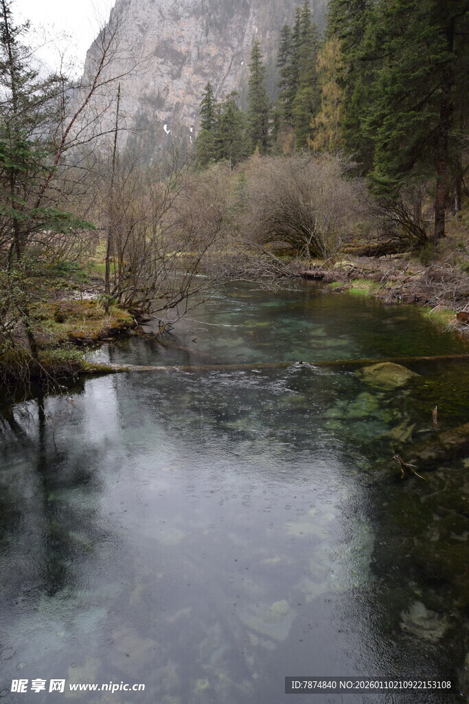 山间溪流旁的自然美景