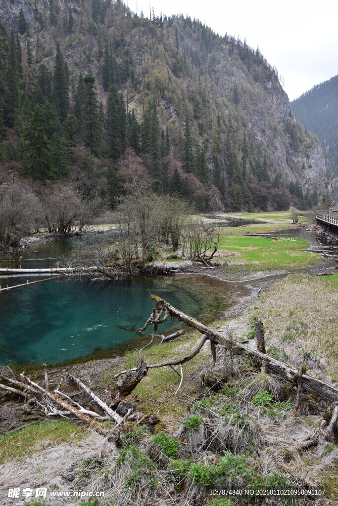 山间幽蓝湖泊与枯木景观