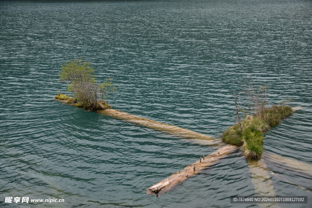 水中木筏绿植景观