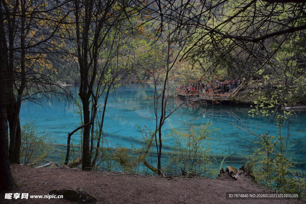 森林中的幽蓝清澈湖水
