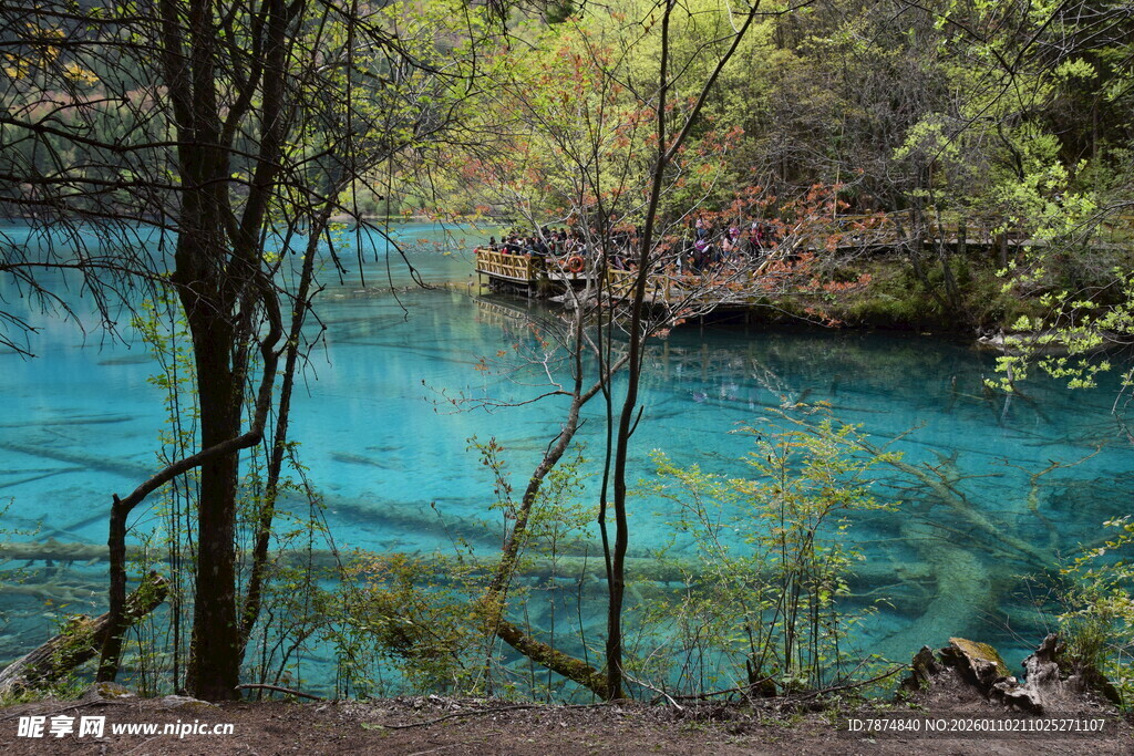 蓝绿色林间湖水美景