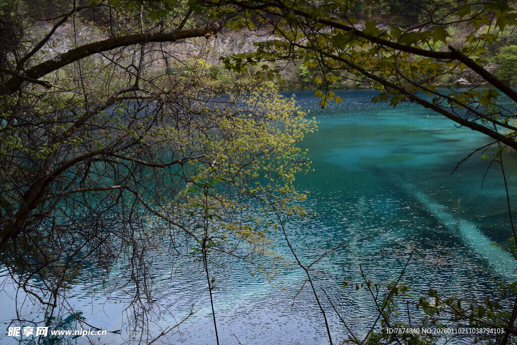 梦幻蓝湖的秋日森林景致