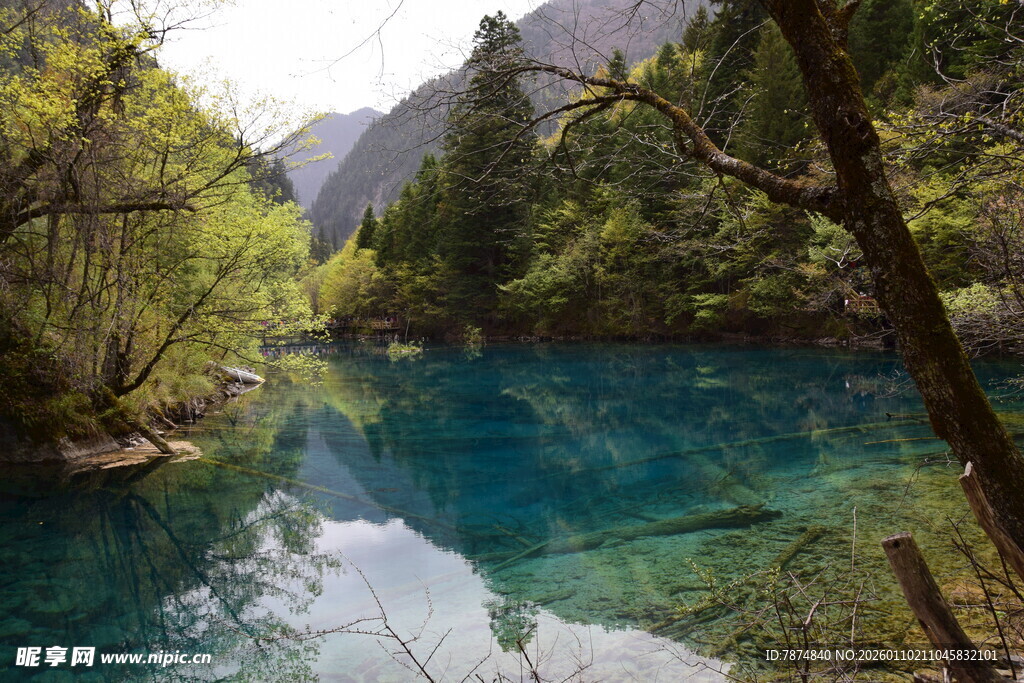 九寨沟的清澈幽美湖泊