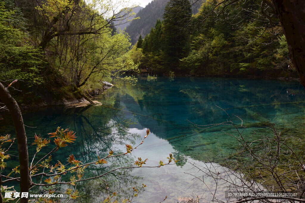 山间幽蓝清澈的静谧溪流