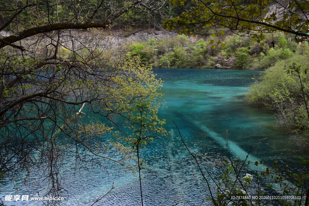 幽林环绕的澄澈蓝绿色湖水