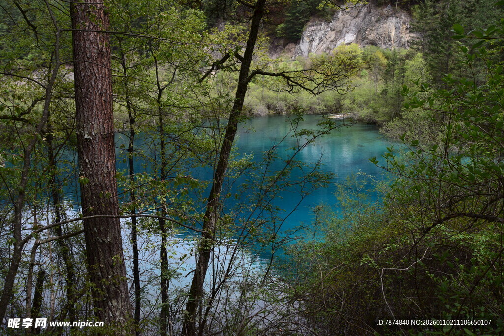 森林中的幽蓝澄澈湖泊