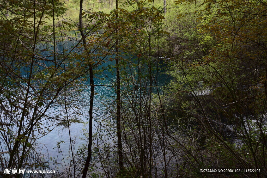 林间幽蓝湖水景色