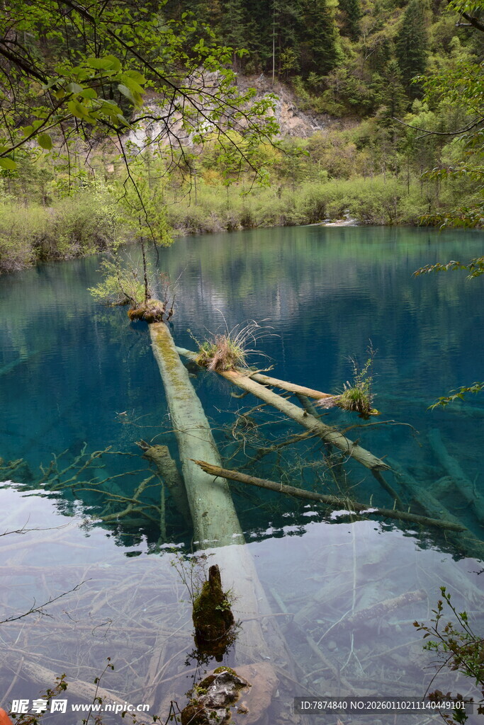山间幽蓝湖水与枯木