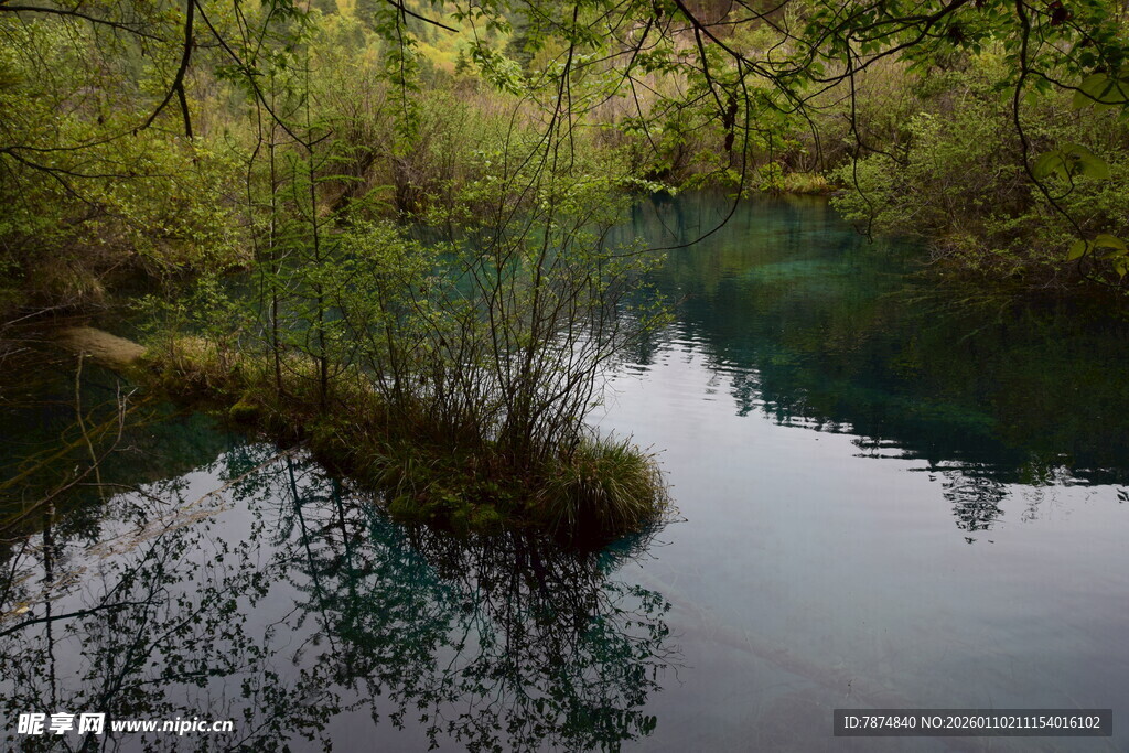 静谧山林中的清幽湖水