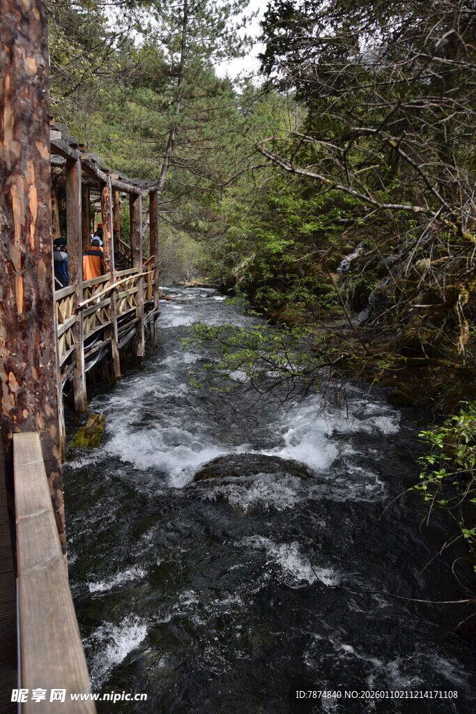 林间木栈道旁的潺潺溪流