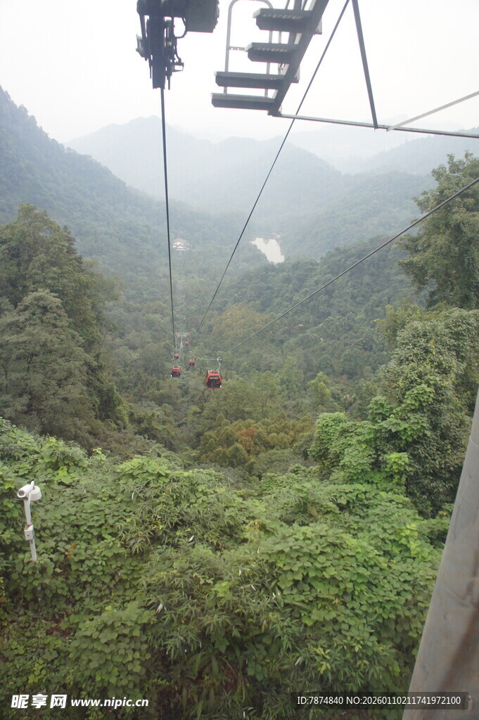 缆车穿梭于茂密山林间