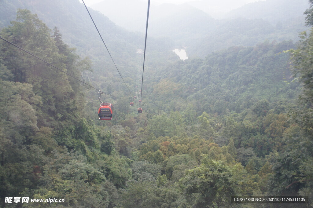 山间缆车穿梭茂密丛林