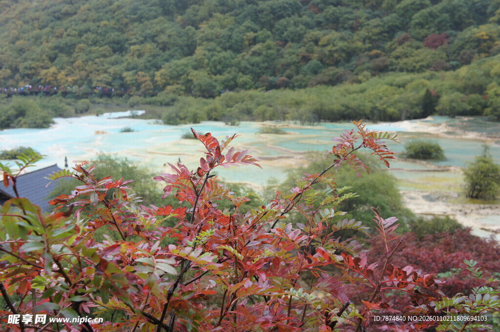 山间红叶与多彩景致