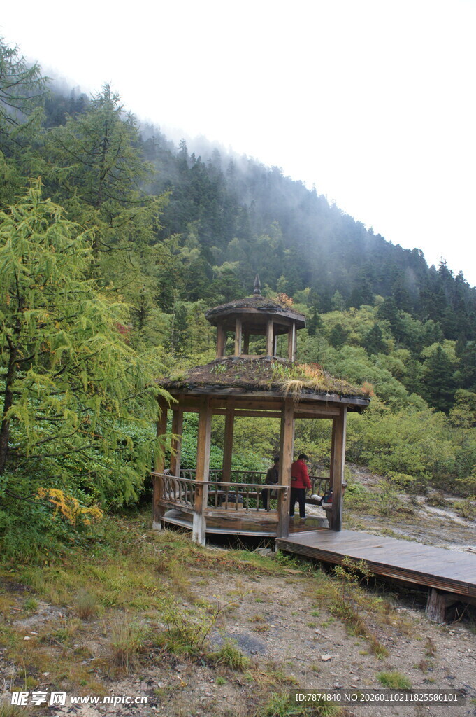 山间凉亭 隐于葱郁绿意中