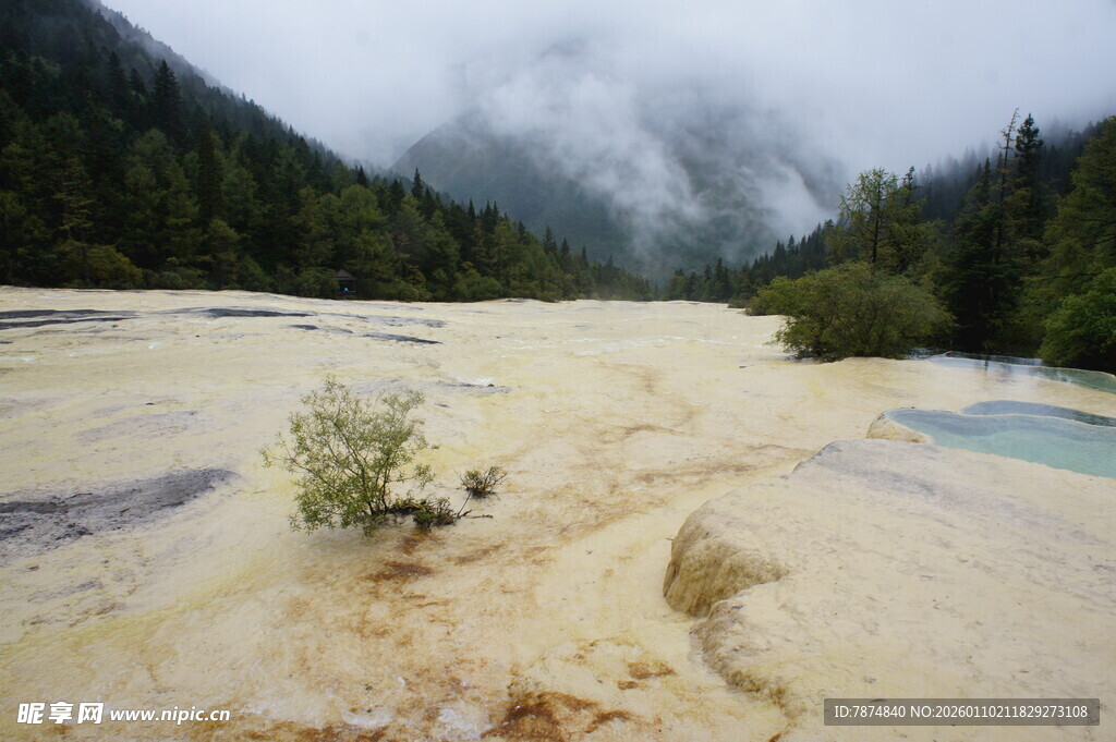 山间独特地貌与孤植景致