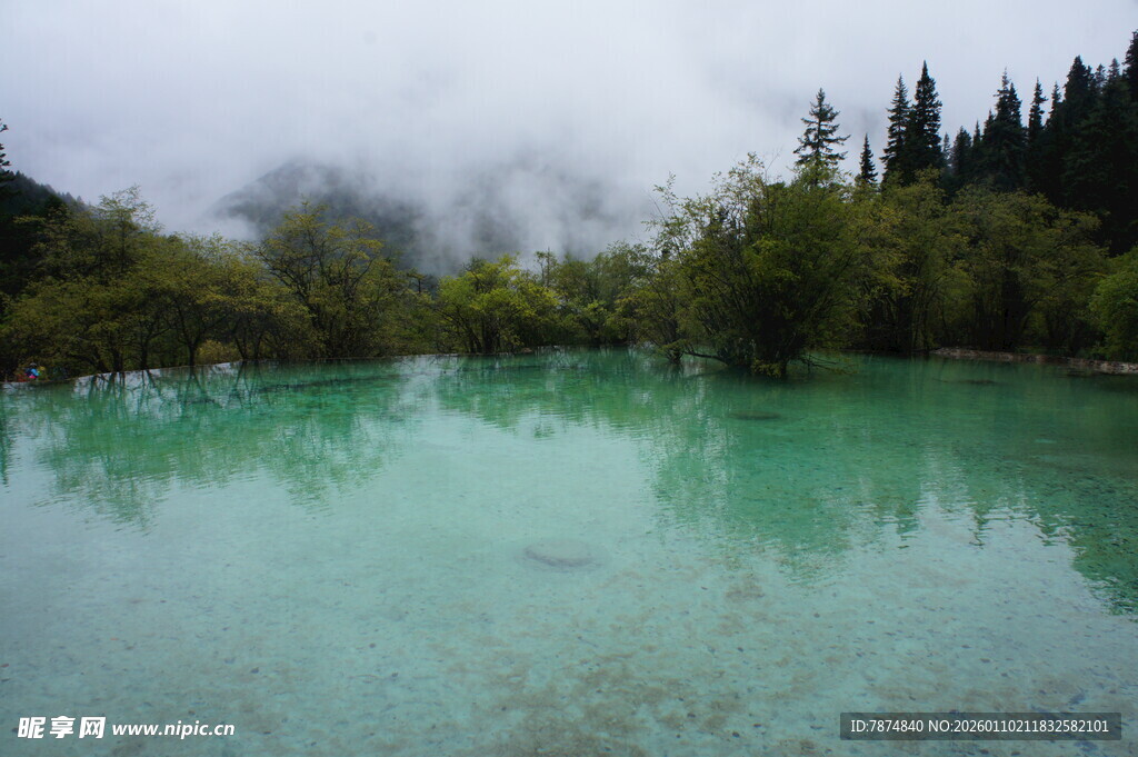 翠绿湖水与葱郁山林景观