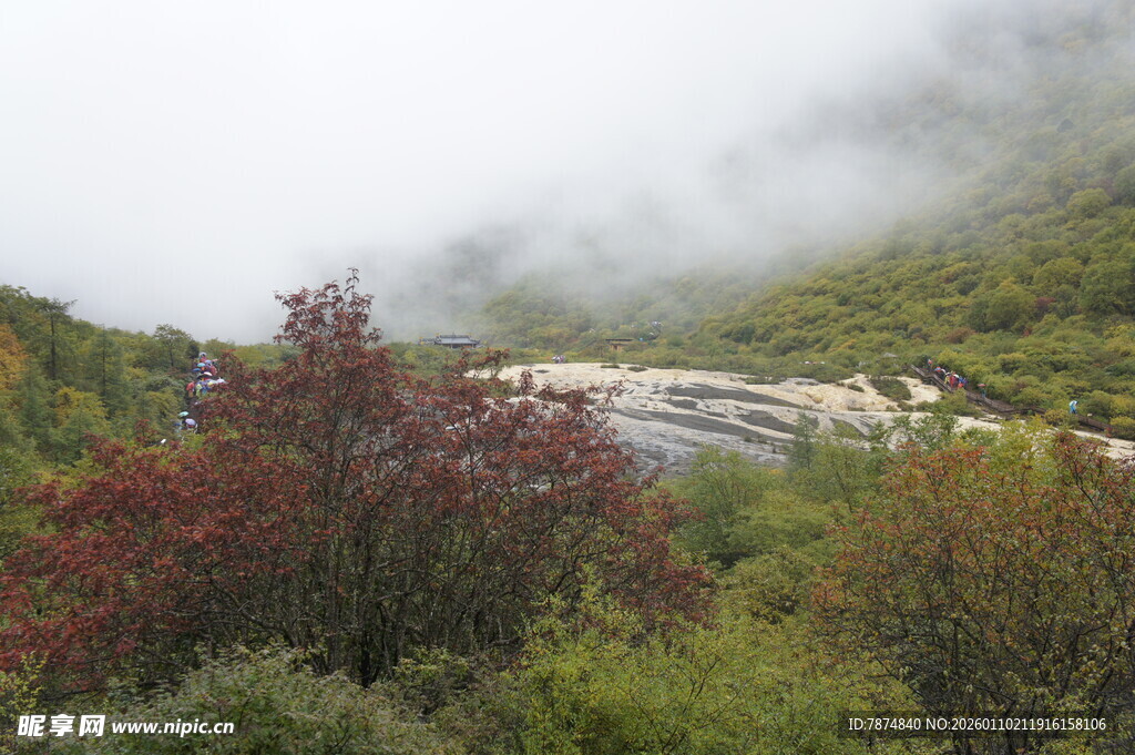 山间云雾中的多彩植被